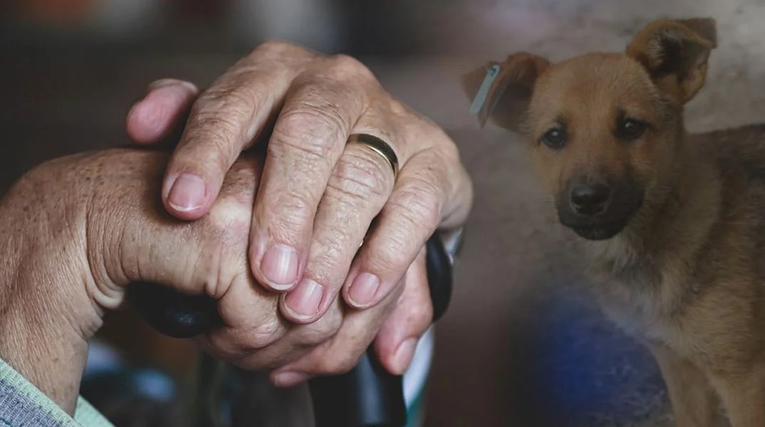 Υπερήλικη 101 ετών στον Βόλο νίκησε τον κορωνοϊό 