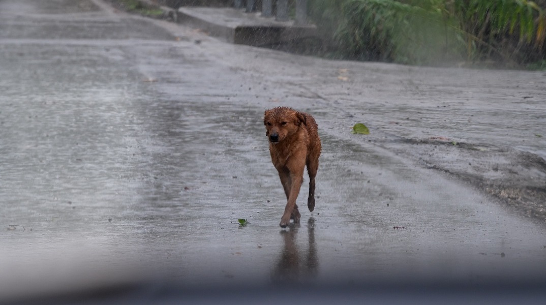 Ξεκίνησε η κακοκαιρία: Μήνυμα του 112 σε Θεσσαλονίκη και Θεσσαλία