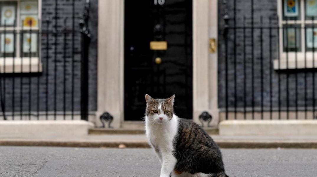  Λάρι, ο γάτος της Ντάουνινγκ Στριτ, 