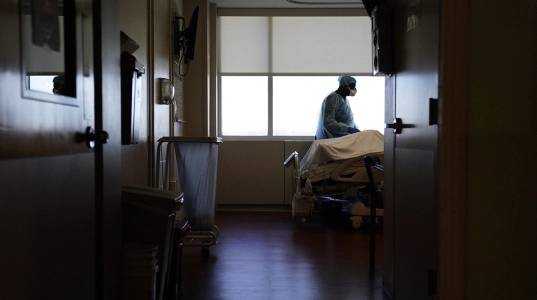 Στα 66 τα κρούσματα ευλογιάς των πιθήκων στην Ελλάδα