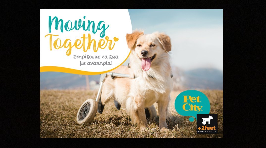 Τα Pet City στηρίζουν τα ζώα με αναπηρία