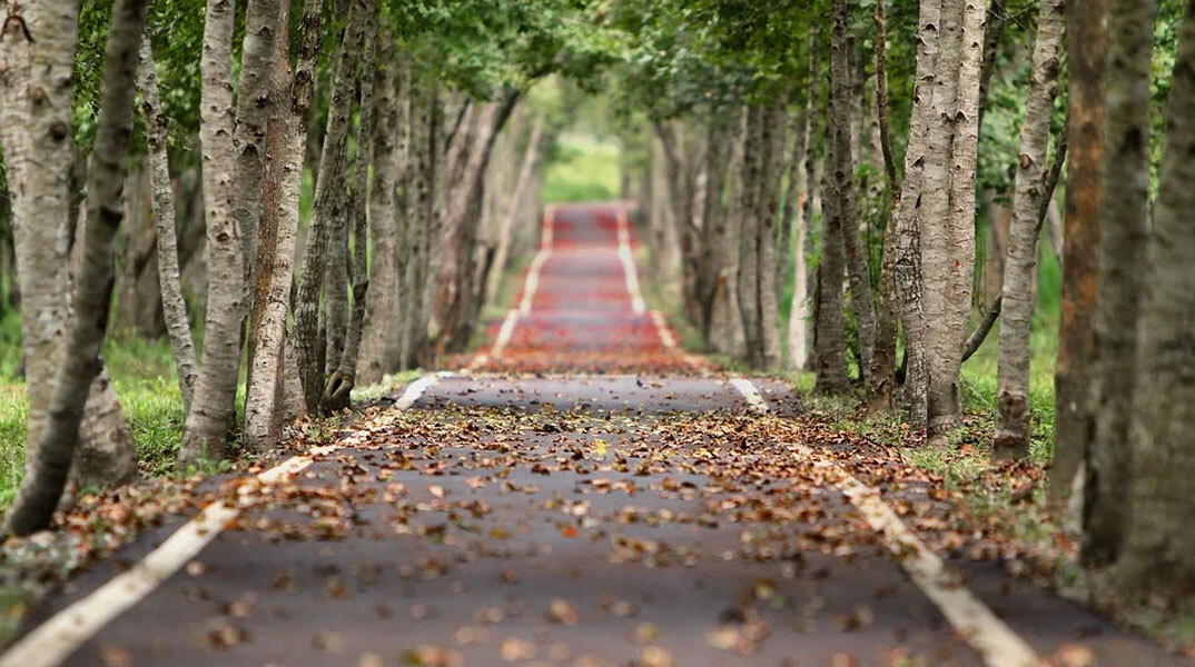 Λιγότερο από 24ωρο για τη φθινοπωρινή ισημερία