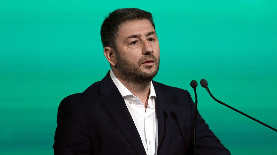 Νίκος Ανδρουλάκης