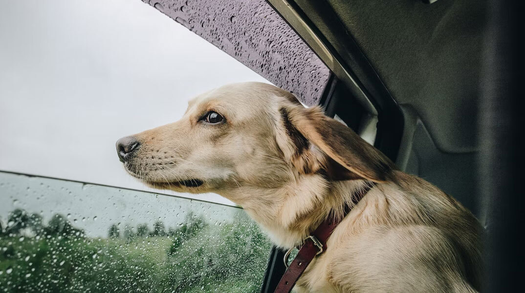 Βροχές σε περιοχές της χώρας δίνει η πρόγνωση καιρού της ΕΜΥ για σήμερα Δευτέρα (3/10)
