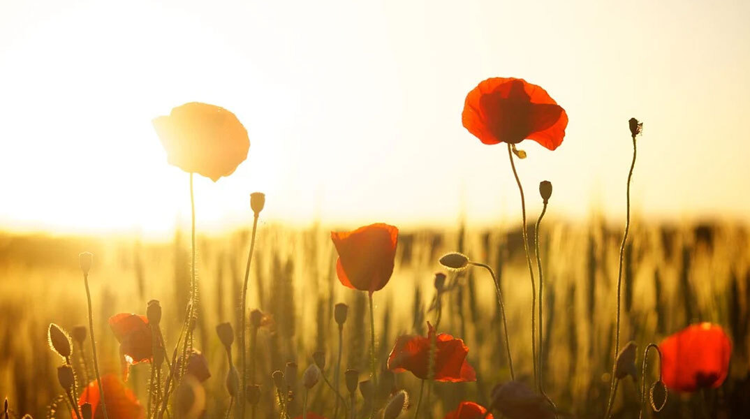 Καλές καιρικές συνθήκες τη Δευτέρα 10 Οκτωβρίου, σύμφωνα με την πρόγνωση καιρού