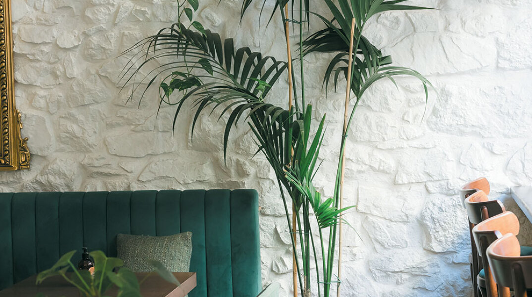 Νερατζιά alla day bistro