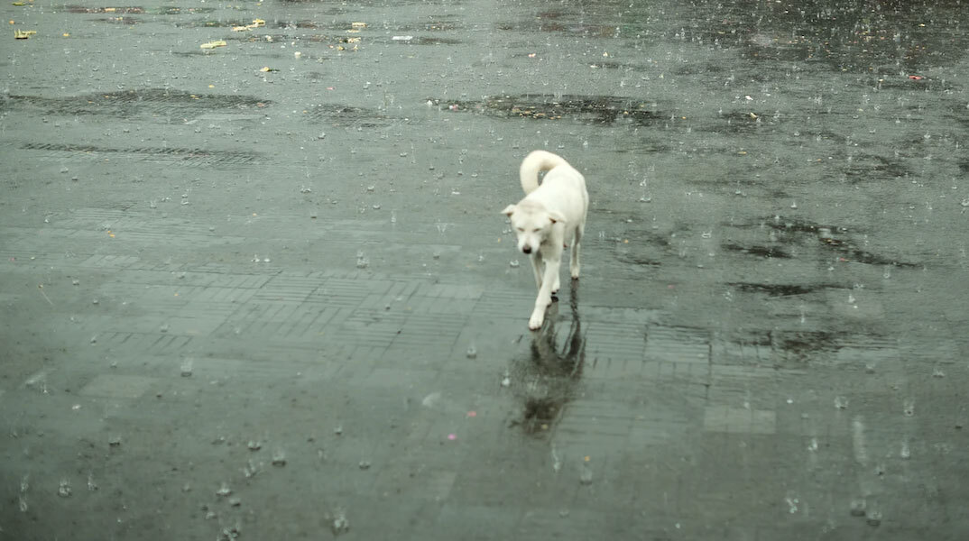 Βροχές από το βράδυ της Πέμπτης (13/10) σε περιοχές της χώρας