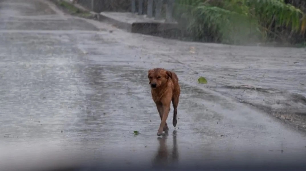  Μήνυμα 112 σε περιοχές της Δυτικής Ελλάδας λόγω έκτακτων καιρικών φαινομένων
