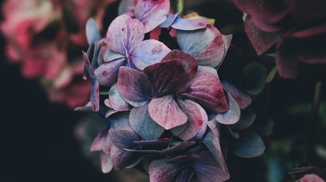 Εορτολόγιο: Σήμερα 21 Οκτωβρίου γιορτάζει…