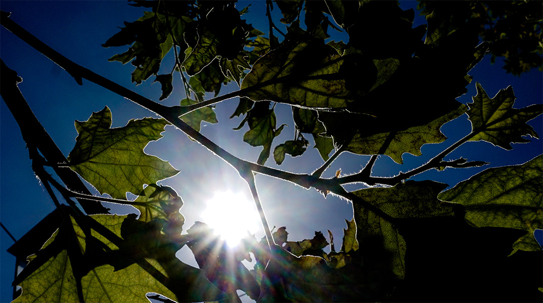 Καιρός - Ήλιος