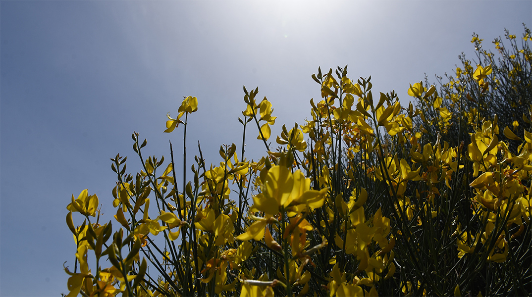 Καιρός - Ήλιος