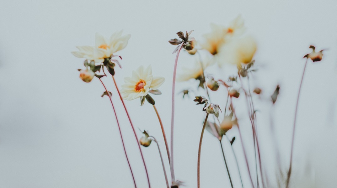 Εορτολόγιο: Σήμερα 31 Οκτωβρίου γιορτάζει…