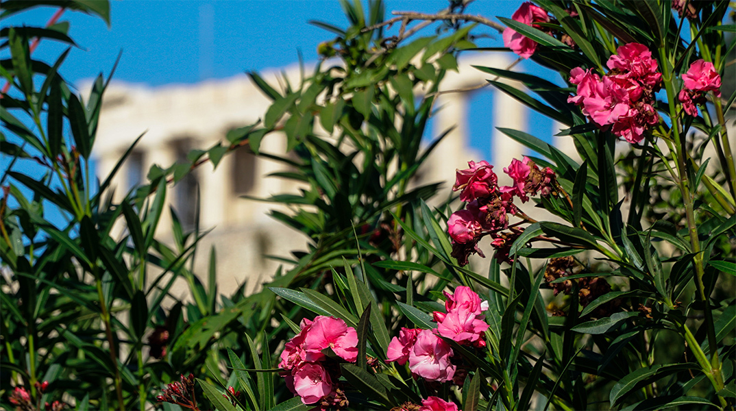 Καιρός σήμερα