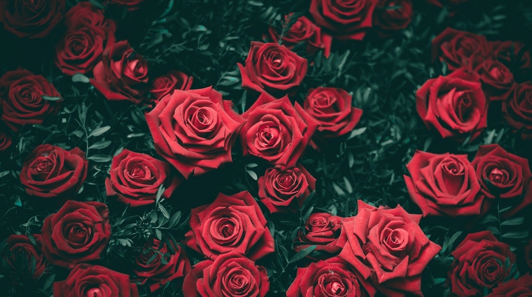 Εορτολόγιο: Σήμερα 2 Νοεμβρίου γιορτάζει…