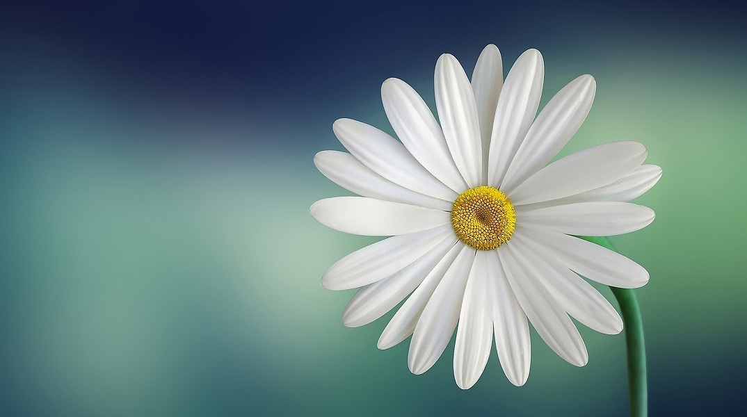 Εορτολόγιο: Σήμερα 3 Νοεμβρίου γιορτάζει…