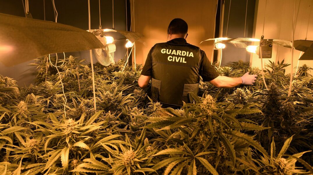 Ισπανία: Η αστυνομία κατέσχεσε τη μεγαλύτερη ποσότητα μαριχουάνας που έχει ποτέ κατασχεθεί παγκοσμίως, αξίας 64 εκατ ευρώ	