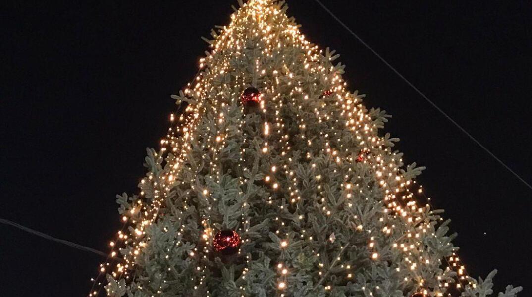 Χαλκιδική: Τοποθετήθηκε στην πλατεία του Ταξιάρχη το πρώτο Χριστουγεννιάτικο δέντρο της Ελλάδας