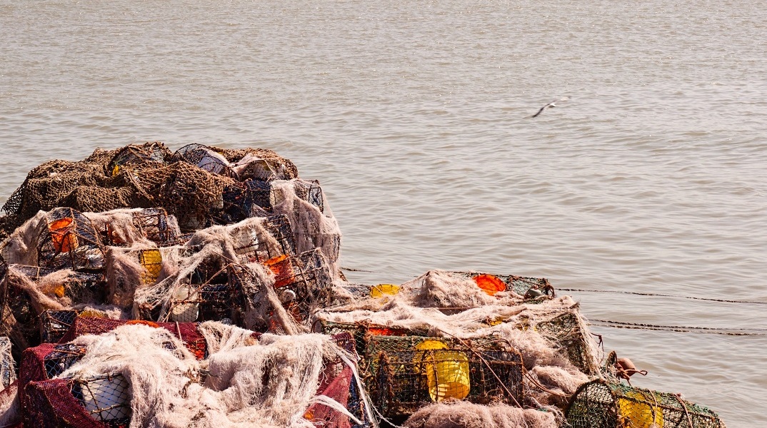 «Ένας αόρατος δολοφόνος»: Πώς τα αλιευτικά εργαλεία έγιναν το πιο θανατηφόρο θαλάσσιο πλαστικό