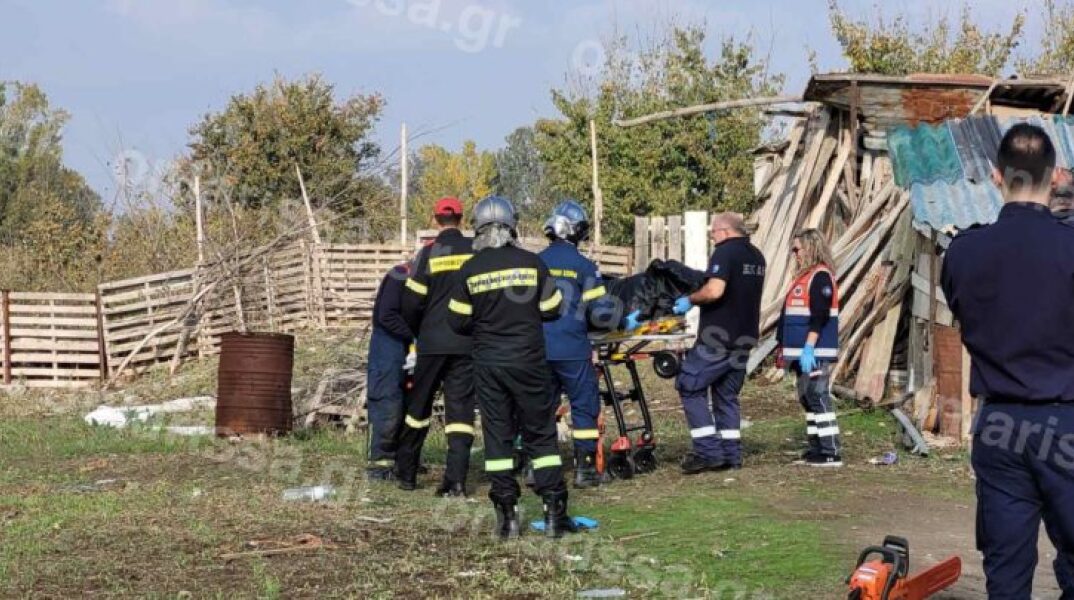 Νεκρή ηλικιωμένη μετά από πτώση δέντρου