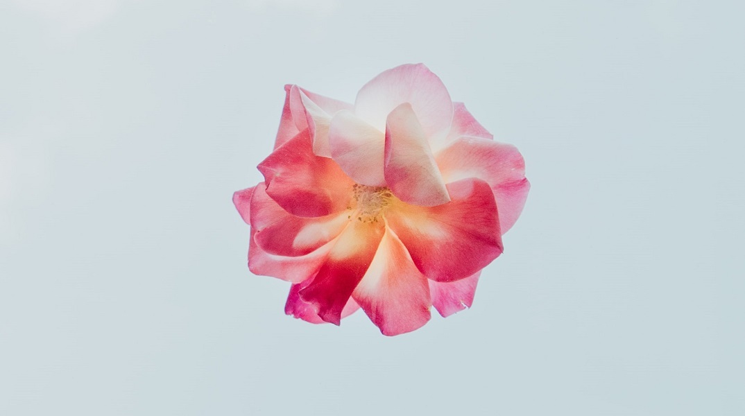 Εορτολόγιο: Σήμερα 15 Νοεμβρίου γιορτάζει…