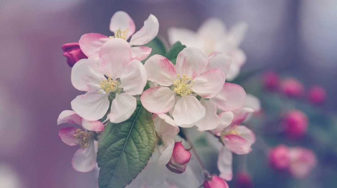 Εορτολόγιο: Σήμερα 16 Νοεμβρίου γιορτάζει…