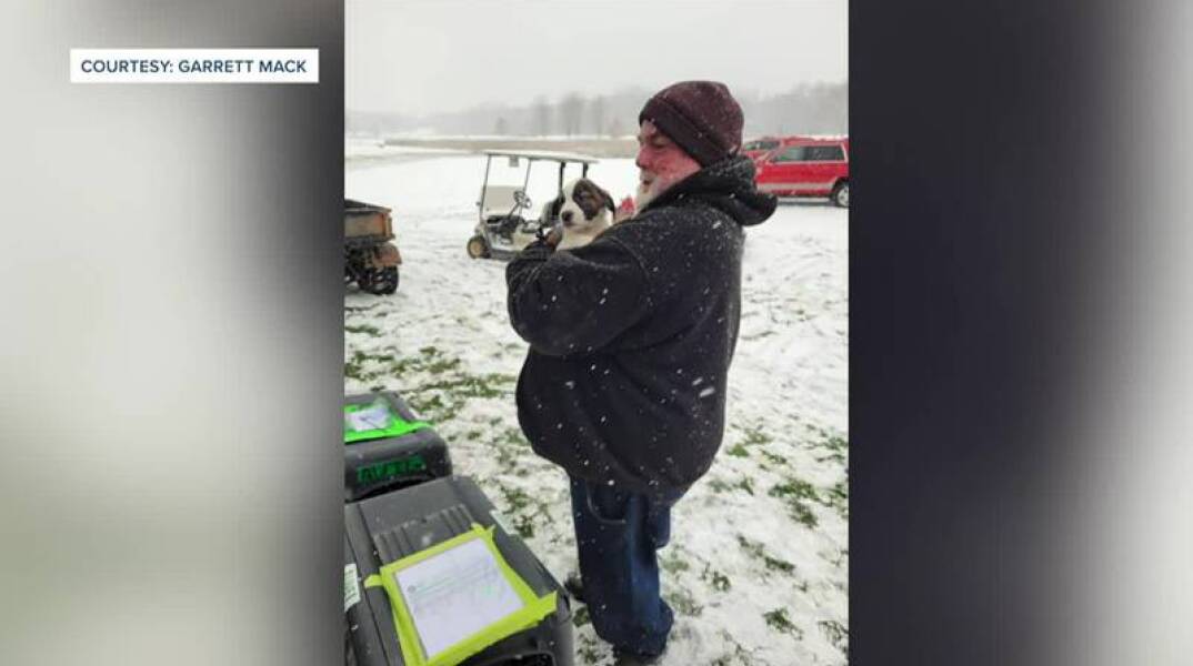 Αεροπλάνο με 53 σκύλους προς υιοθεσία έκανε «καταστροφική» προσγείωση σε γήπεδο γκολφ