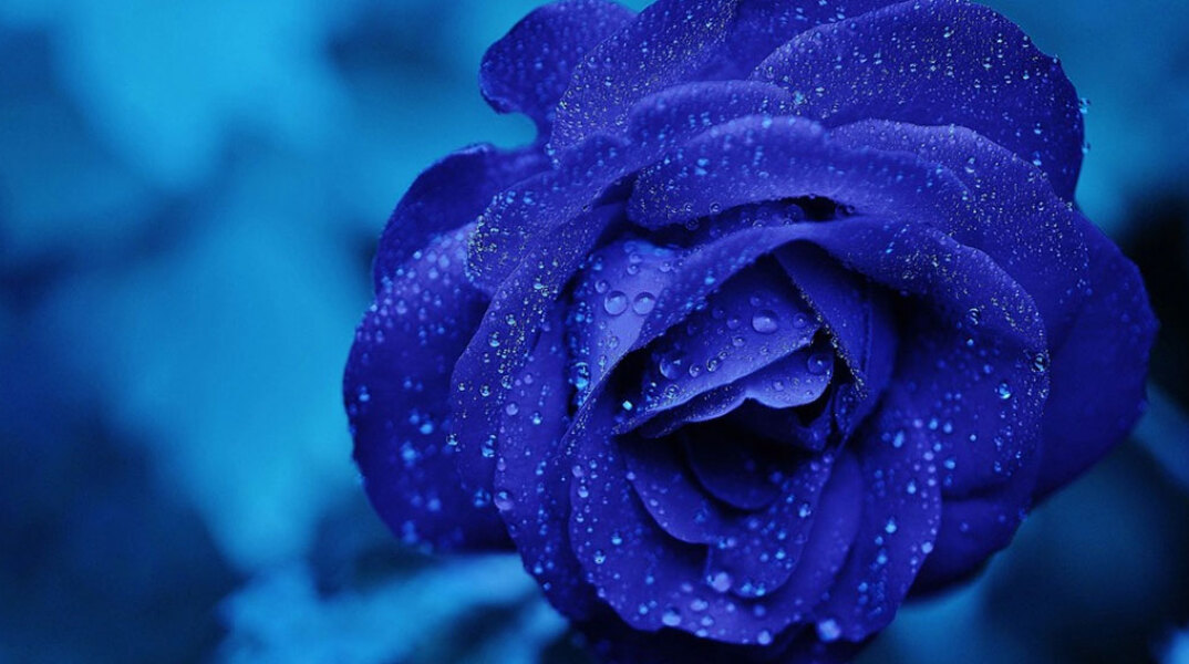 O Αμφιλόχιος γιορτάζει σήμερα 23 Νοεμβρίου