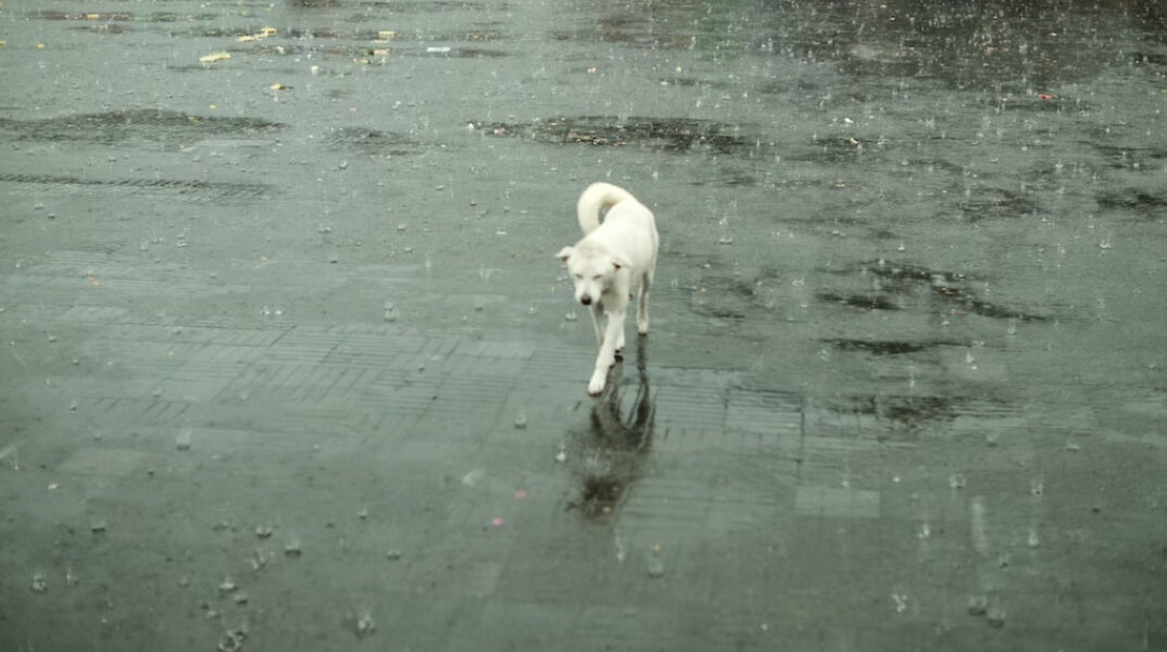 Βροχερός ο καιρός σήμερα Τετάρτη (23/11) σε πολλές περιοχές της χώρας