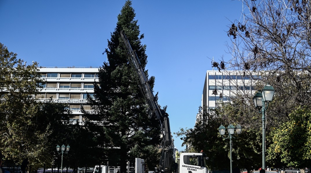 Στήθηκε το χριστουγεννιάτικο δέντρο στην πλατεία Συντάγματος (βίντεο)