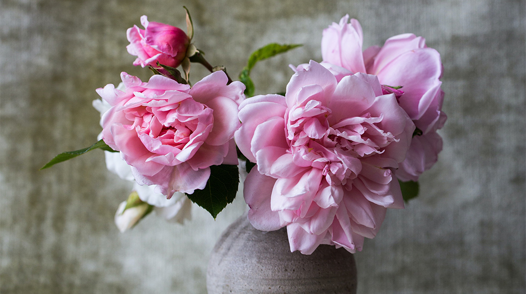 Λουλούδι - γιορτή