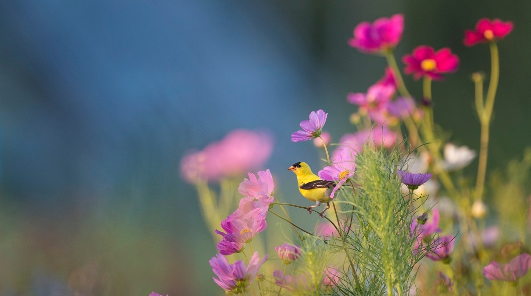 Εορτολόγιο: Σήμερα 1 Δεκεμβρίου γιορτάζει…