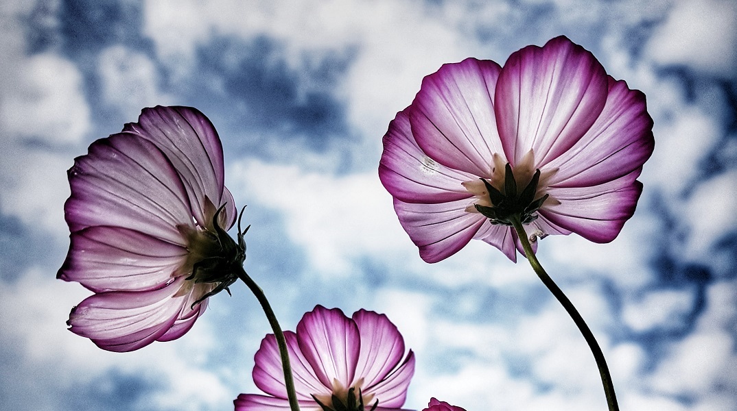 Εορτολόγιο: Σήμερα 2 Δεκεμβρίου γιορτάζει…