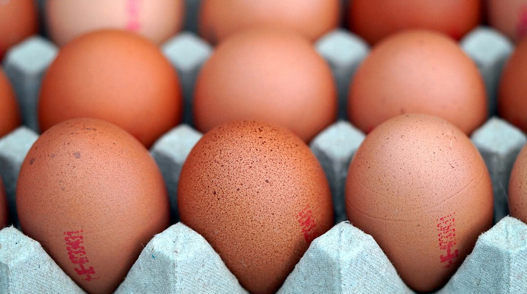 Είδος πολυτελείας γίνονται τα αυγά στη Βρετανία