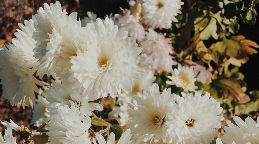 Εορτολόγιο: Σήμερα 14 Δεκεμβρίου γιορτάζει…