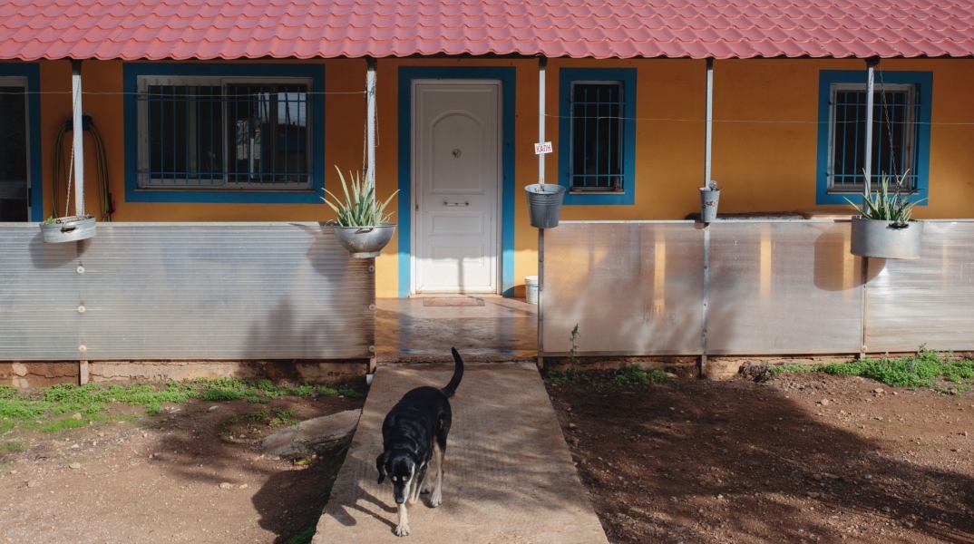 Επισκεφθήκαμε το ΚΑΖ. Στην πλευρά της εισόδου βρίσκεται ο χώρος με τα ηλικιωμένα σκυλιά του καταφυγίου