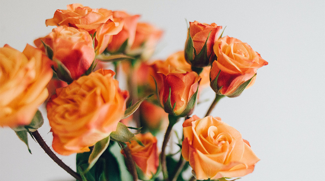 Λουλούδι - γιορτή