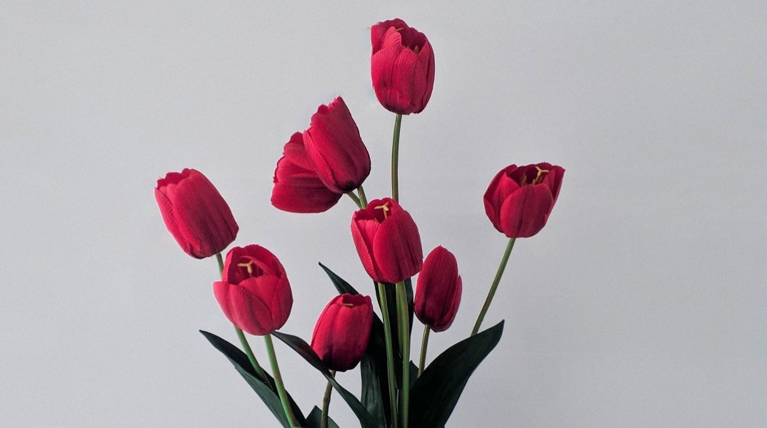 Εορτολόγιο: Σήμερα 24 Δεκεμβρίου γιορτάζει…