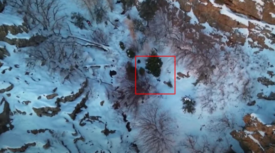 Σκύλος εγκλωβίστηκε σε χιονισμένη πλαγιά στη Γιούτα των ΗΠΑ