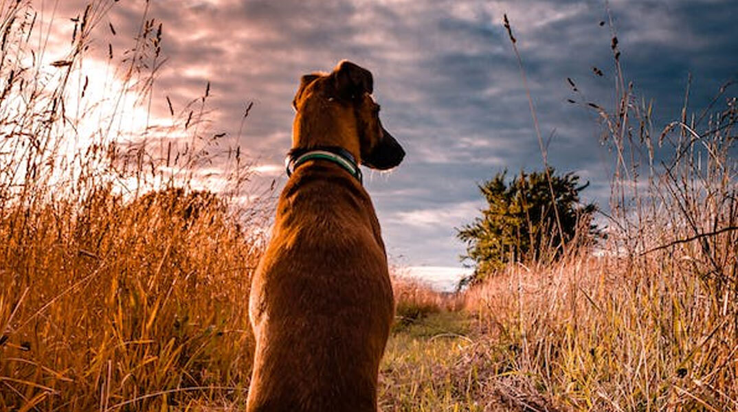 Καλές καιρικές συνθήκες αύριο Τρίτη (3/1), σύμφωνα με την ΕΜΥ