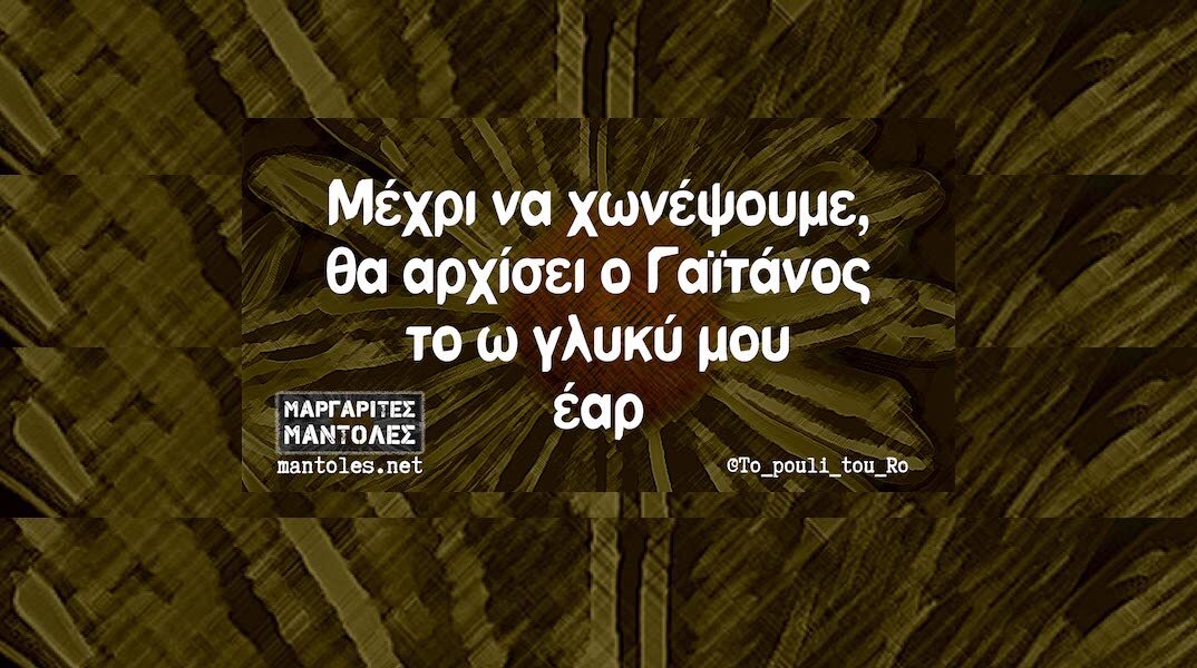 Αστεία memes, ατάκες, YOLO βίντεο, viral, αστεία video στο TikTok που ανέβηκαν στο διαδίκτυο και μας έκαναν να γελάσουμε.