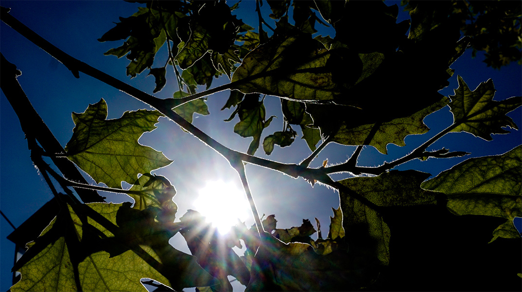 Καιρός - Ήλιος