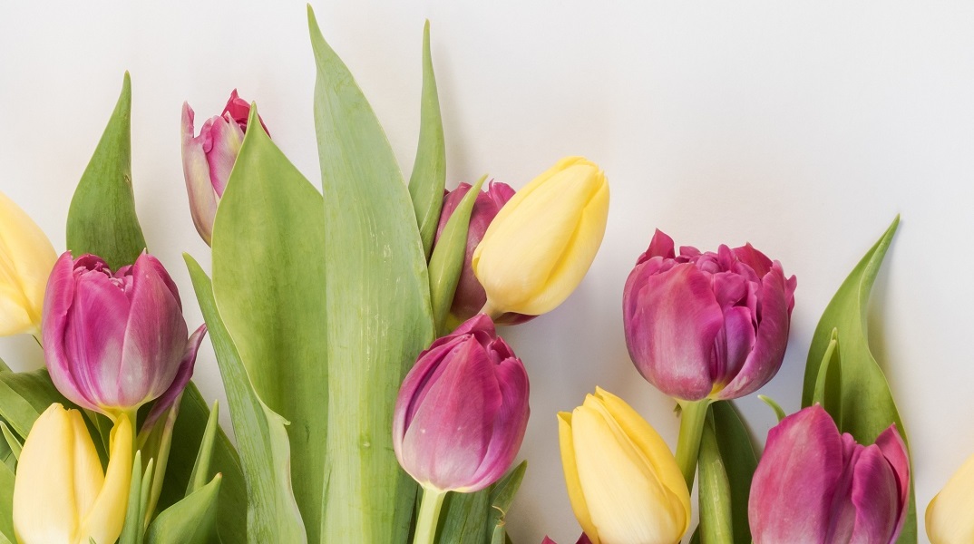 Εορτολόγιο: Σήμερα, 10 Ιανουαρίου, γιορτάζει…