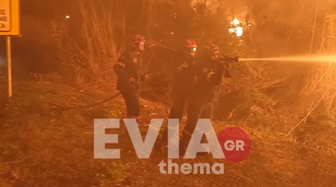 Φωτιά στην Εύβοια: «Σημαντική» η οικολογική ζημιά στα Ψαχνά