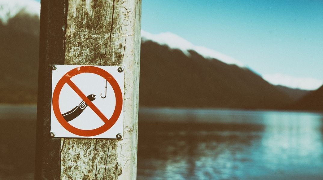 Σουηδία: Σκάνδαλο με το ψάρεμα χελιών από σύμβουλο του πρωθυπουργού