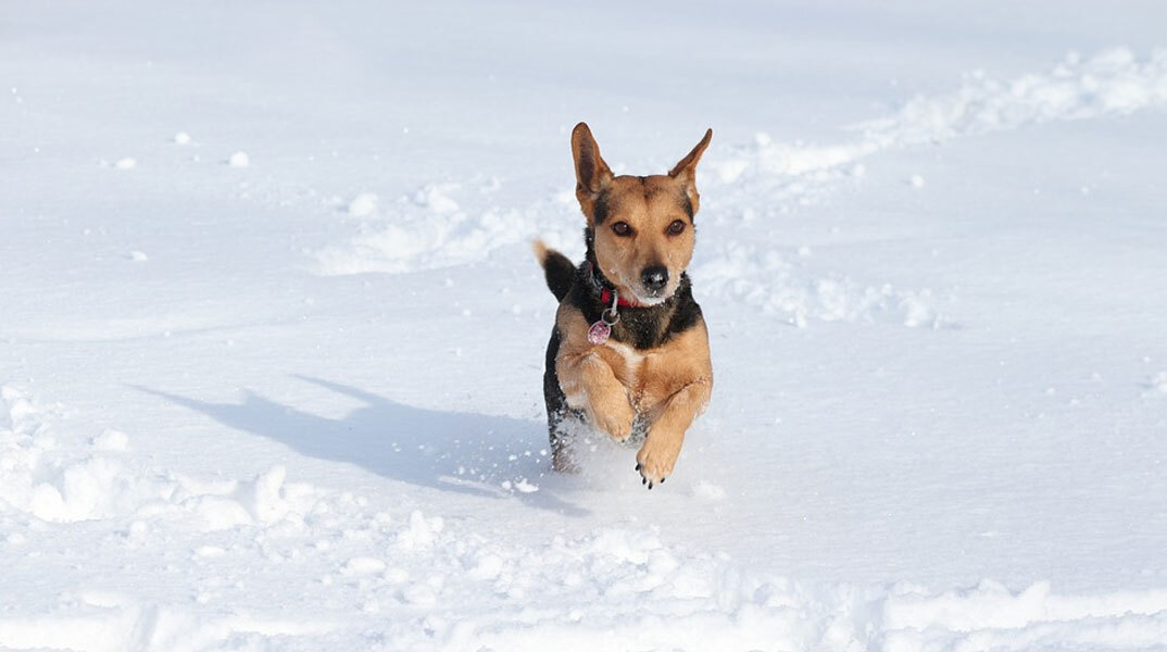 Χιονοπτώσεις στα κεντρικά και βόρεια της χώρας φέρνει η νέα επιδείνωση καιρού