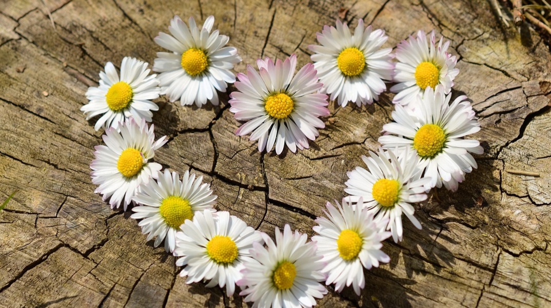 Εορτολόγιο: Σήμερα 27 Ιανουαρίου 2023 γιορτάζει