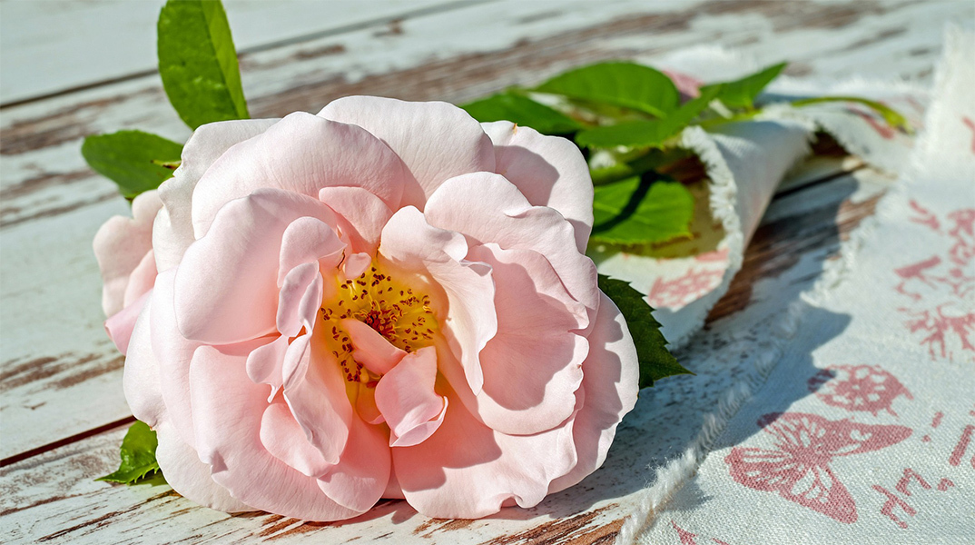 Μπουκέτο λουλούδια