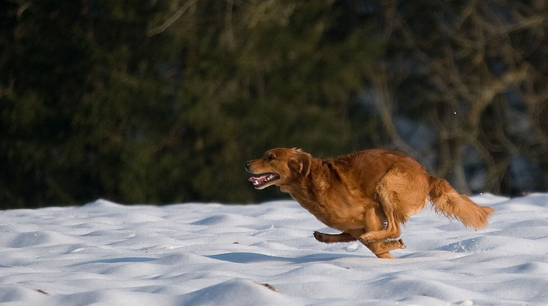 Νέα χιόνια φέρνει η κακοκαιρία «Μπάρμπαρα» τις επόμενες ώρες σε περιοχές της χώρας