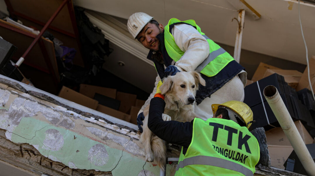 Τουρκία: Δυο σκυλάκια ανασύρθηκαν ζωντανά, πάνω από 200 ώρες μετά τον σεισμό	