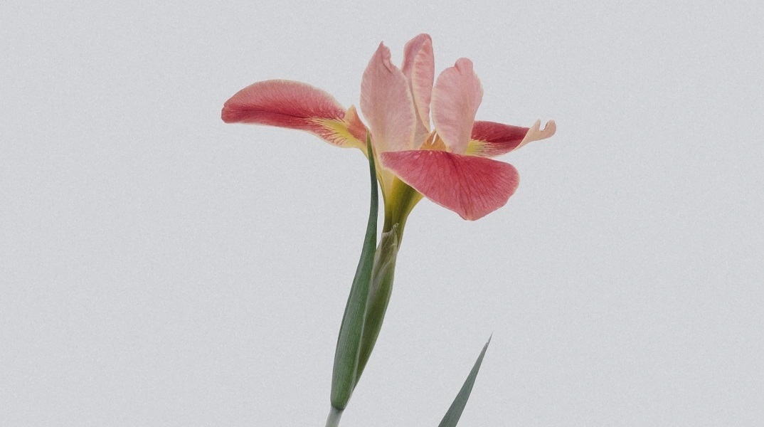 Εορτολόγιο: Σήμερα 16 Φεβρουαρίου 2023 γιορτάζει…